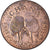 Moneda, Ghana, Pesewa, 1967, BC+, Bronce, KM:13