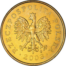 Moeda, Polónia, 2 Grosze, 2003, Warsaw, AU(50-53), Latão, KM:277