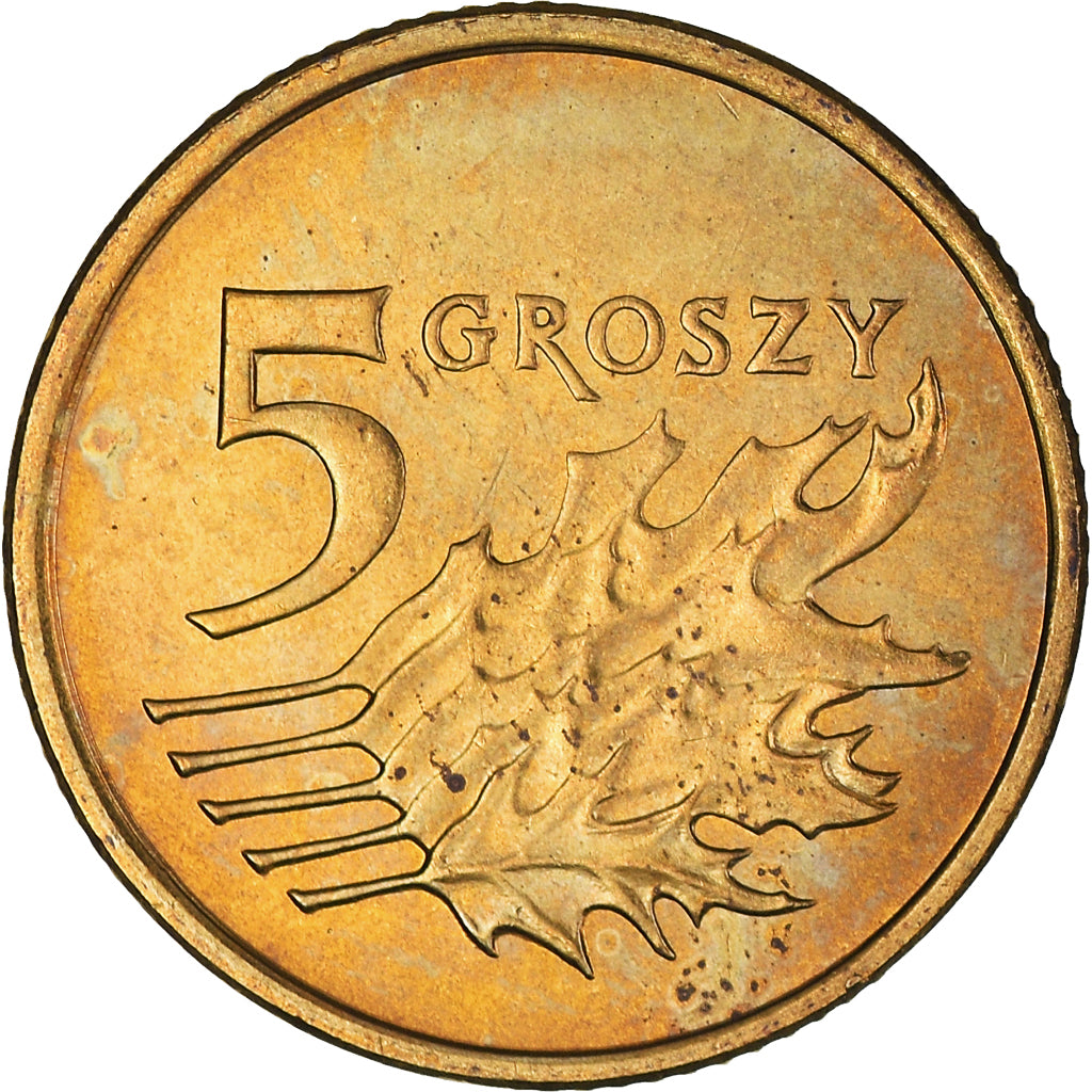 Moneda, Polonia, 5 Groszy, 2003, Warsaw, EBC+, Latón, KM:278
