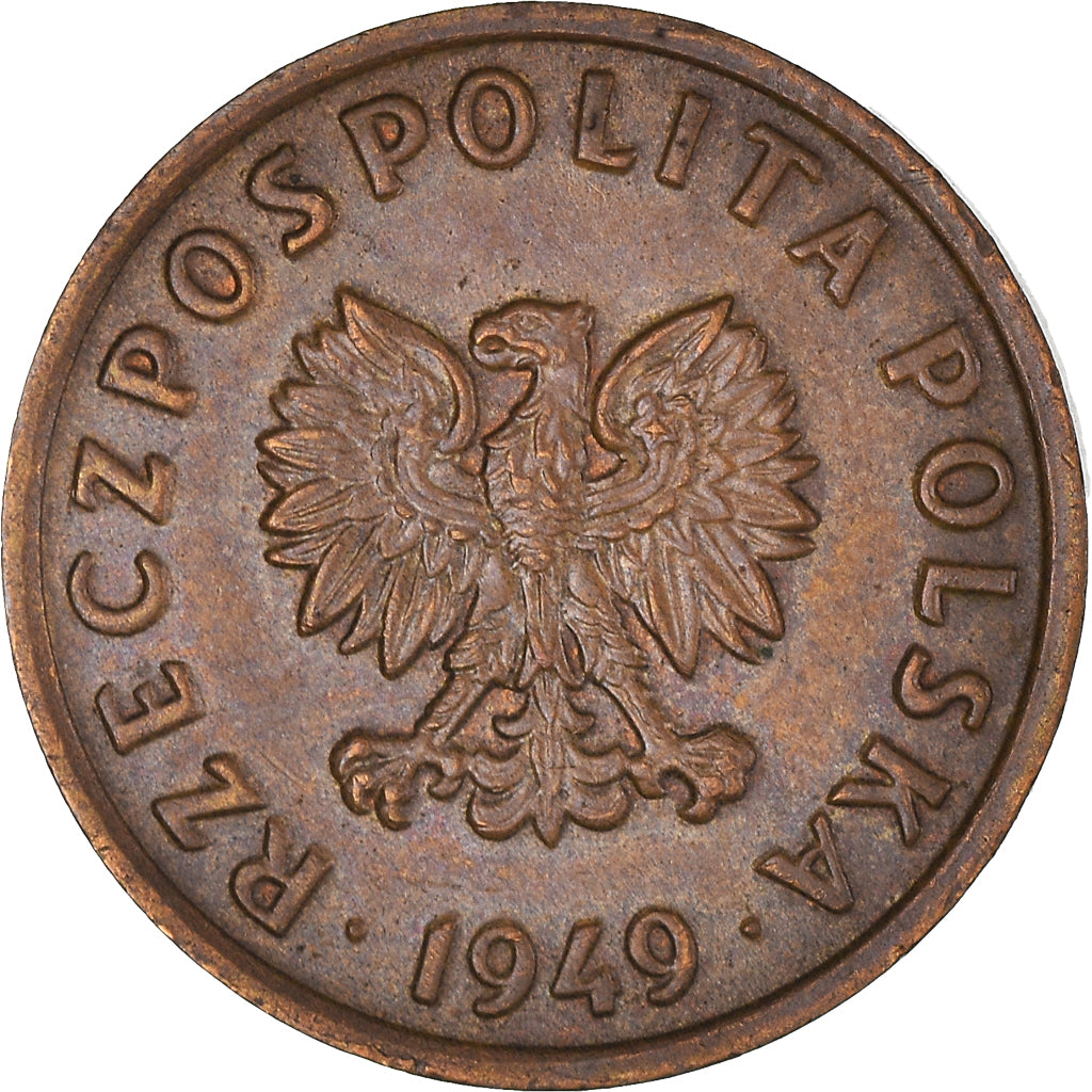 Monnaie, Pologne, 5 Groszy, 1949, Basel, TTB, Bronze, KM:41