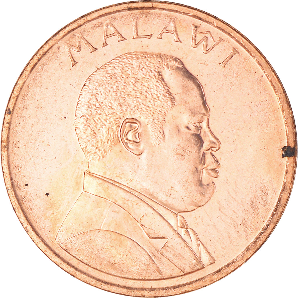 Monnaie, Malawi, 2 Tambala, 1995, TTB+, Bronze, KM:34
