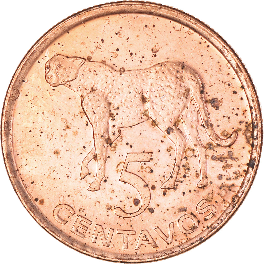 Moneta, Mozambico, 5 Centavos, 2006, MB+, Acciaio placcato rame, KM:133