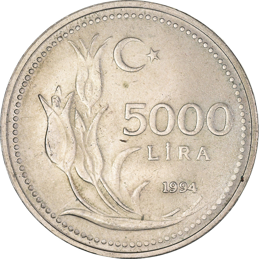 Moneta, Turchia, 5000 Lira, 1994, BB+, Nichel-bronzo, KM:1025