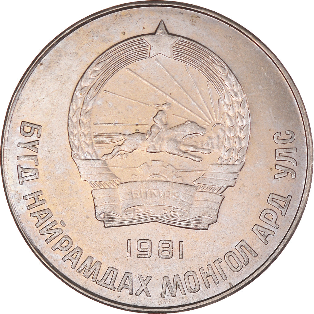 Moneta, Mongolia, 50 Mongo, 1981, EF(40-45), Miedź-Nikiel, KM:33