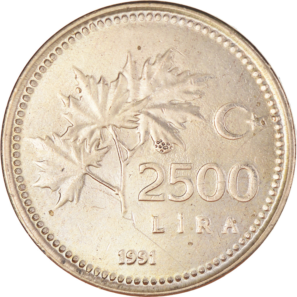 Moneta, Turchia, 2500 Lira, 1991, BB+, Nichel-bronzo, KM:1015