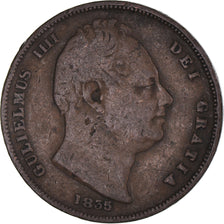 Moneta, Wielka Brytania, William IV, Farthing, 1835, VF(30-35), Miedź, KM:705