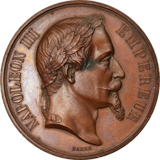 France, Medal, Napoléon III, Agriculture, Concours Régional de Châteauroux