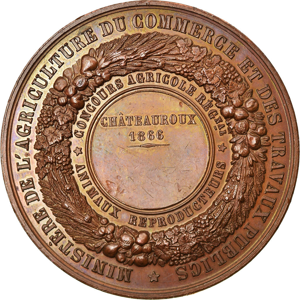 France, Medal, Napoléon III, Agriculture, Concours Régional de Châteauroux
