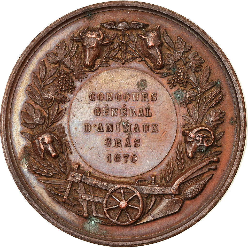 Francja, Medal, Société Départementale d'Agriculture de la Nièvre, 1870