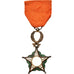 Morocco, Ordre du Ouissam Alaouite, Medal, 1919-1930, Good Quality, Silver, 42