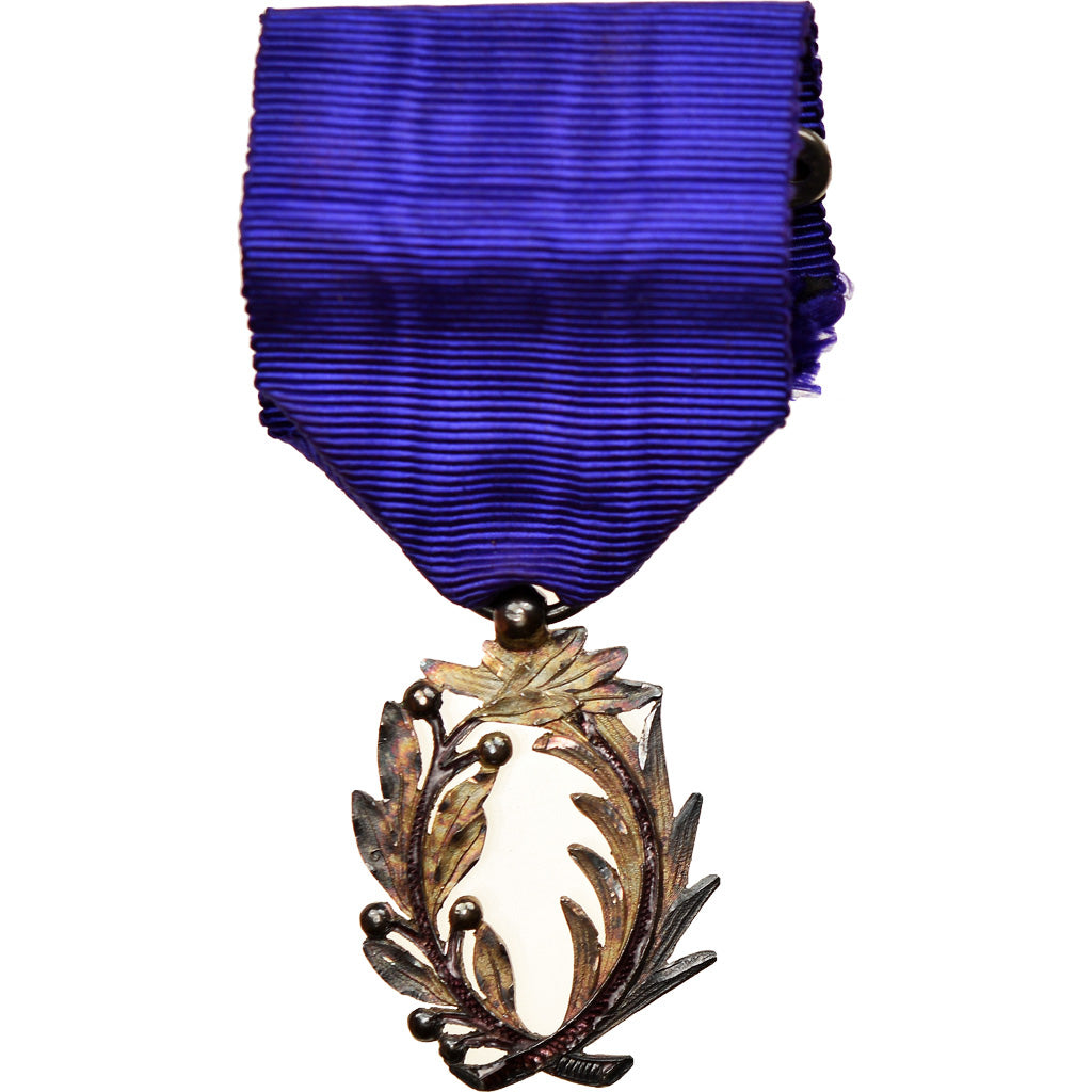 France, Ordre des Palmes Académiques, Medal, Excellent Quality, Silvered