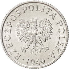 Moneda, Polonia, Grosz, 1949, SC+, Aluminio, KM:39