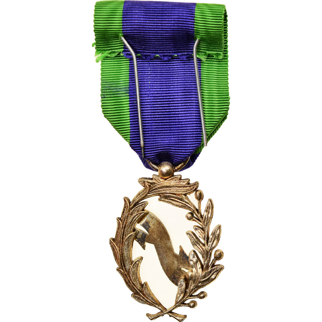 France, Encouragement Public, Medal, Excellent Quality, Silvered bronze, 42