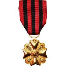Belgium, Mérite Civique, Medal, Uncirculated, Gilt Bronze, 35