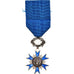France, Ordre National du Mérite, Médaille, Excellent Quality, Silvered