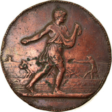 France, Medal, Comice Agricole de Soissons, Lagrange, VF(20-25), Bronze