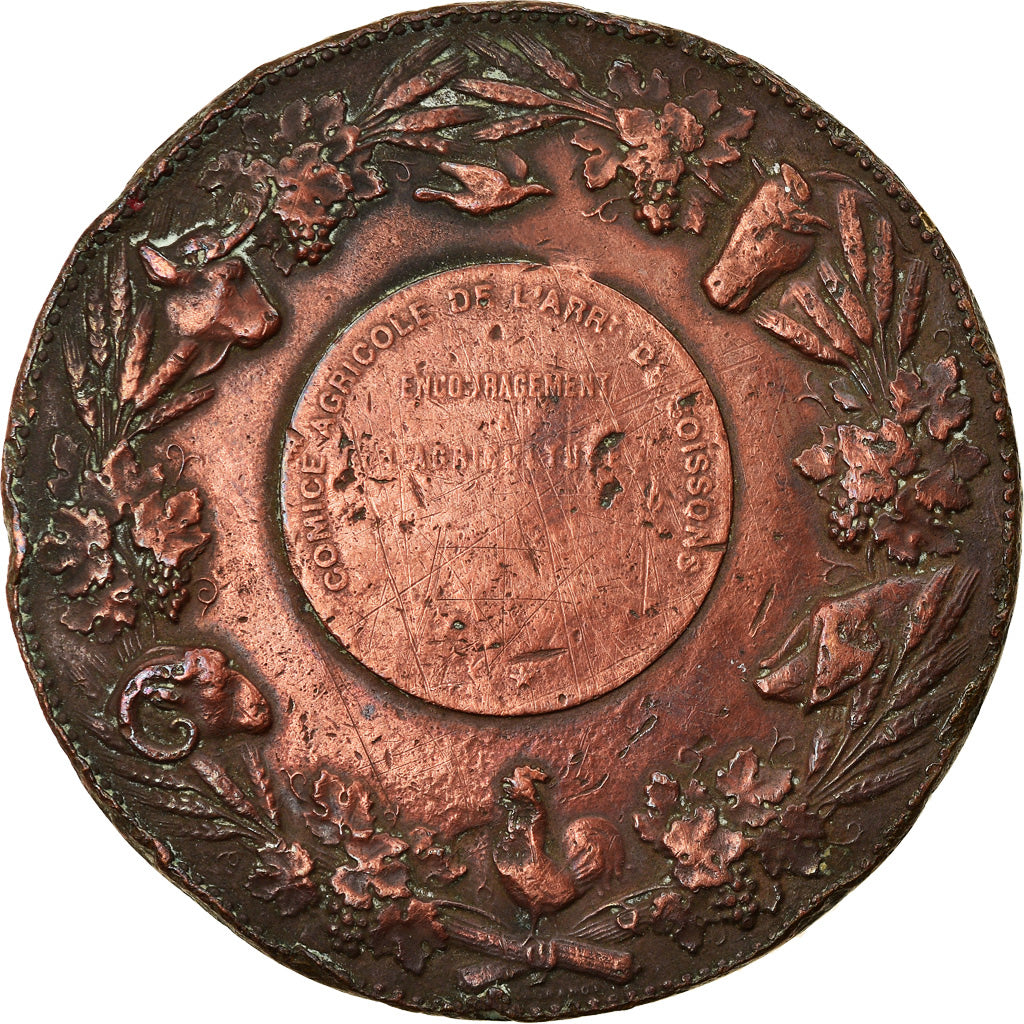France, Medal, Comice Agricole de Soissons, Lagrange, VF(20-25), Bronze