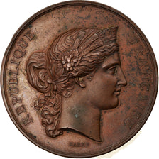France, Medal, Exposition Universelle de Paris, Animaux Reproducteurs, 1878