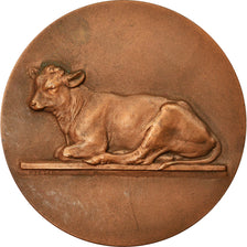 França, Medal, Agriculture, Vache, Offert par Mr Durieux, V. Peter, MS(63)