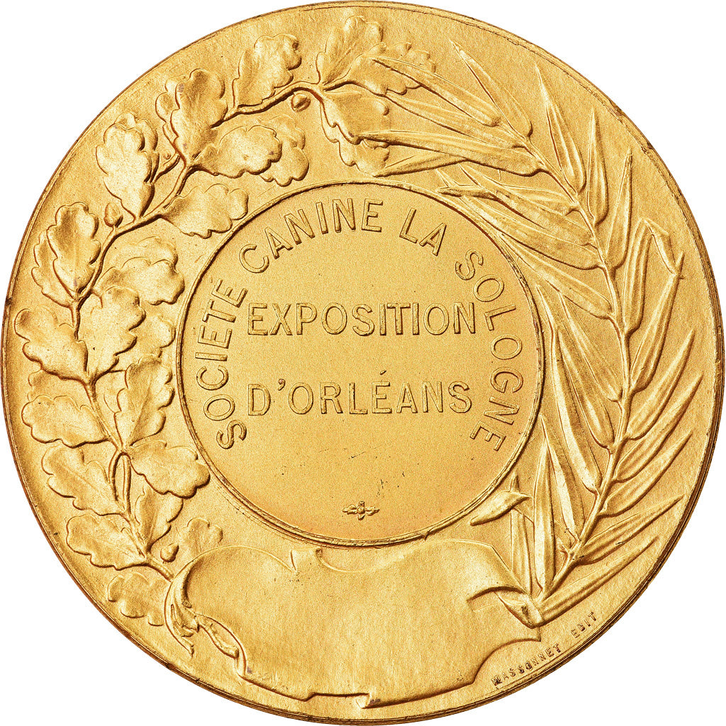 France, Medal, Société Canine la Sologne, Exposition d'Orléans, Massonnet
