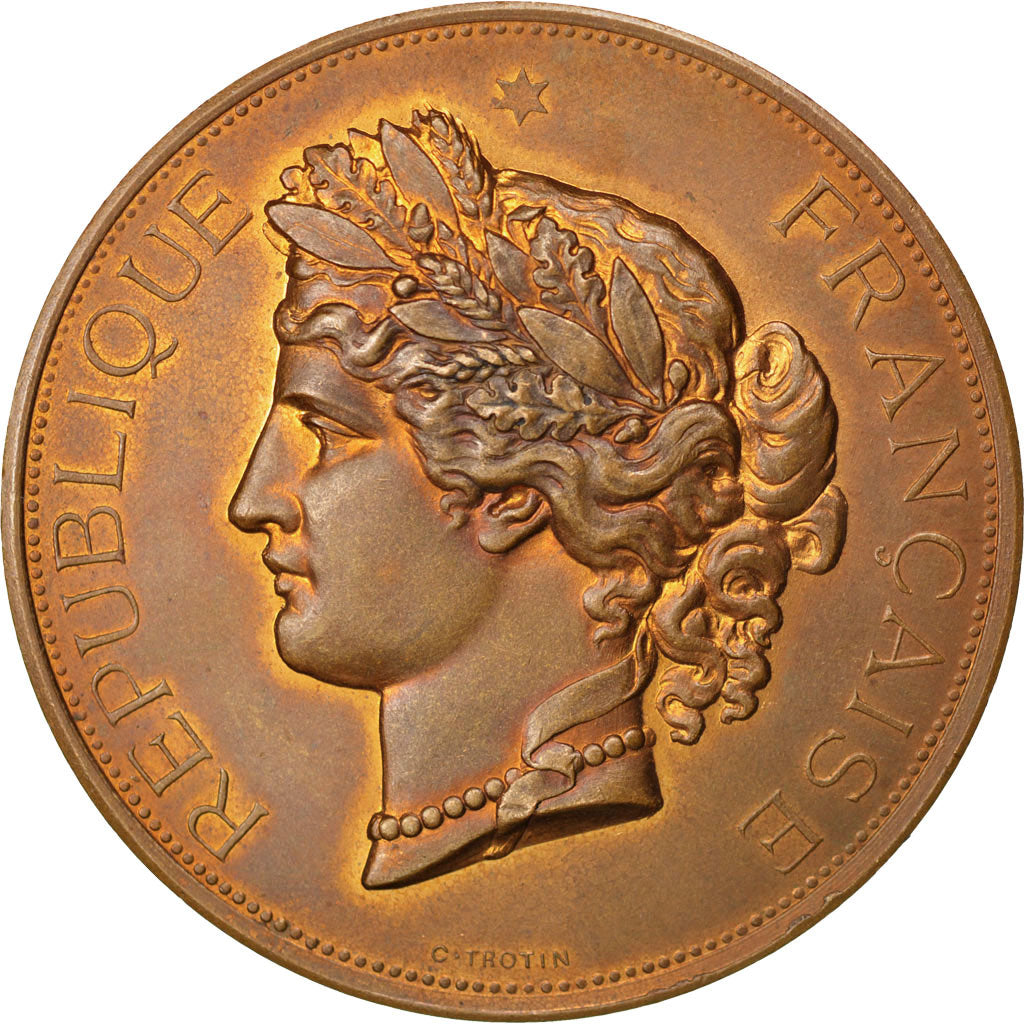 FRANCE, Politics, Society, War, French Third Republic, Medal, AU(55-58),...