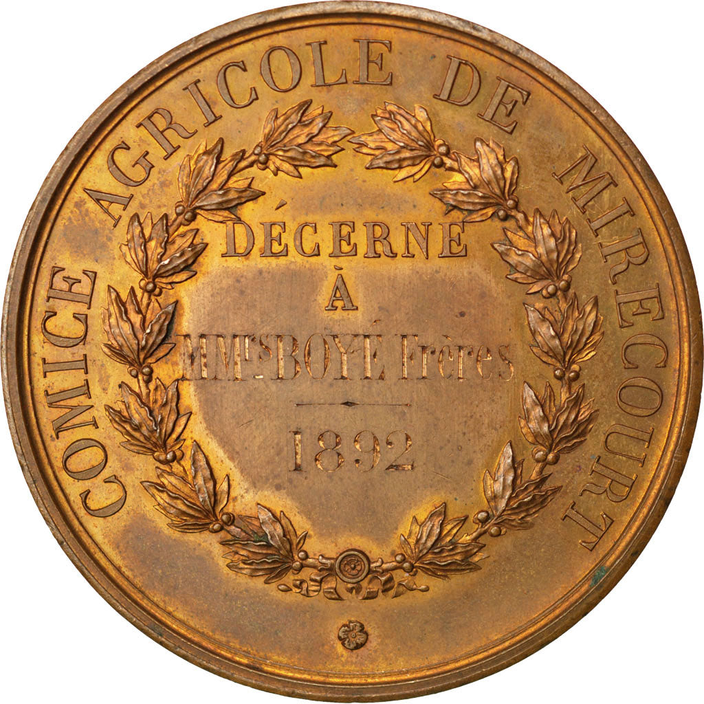 France, Medal, French Third Republic, Business & industry, Lagrange, SUP, Bronze