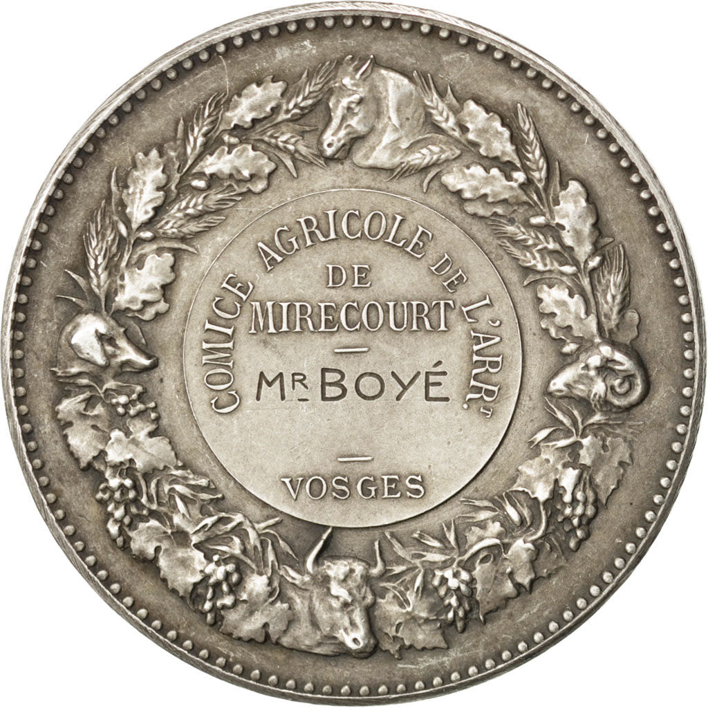 Francia, Medal, French Third Republic, Business & industry, Dubois.H, BB+, Ar...