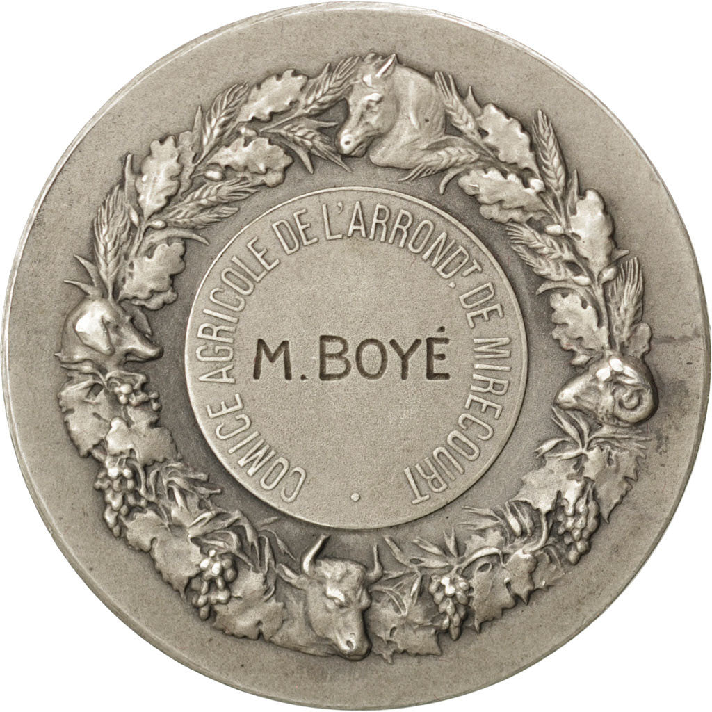 France, Medal, French Third Republic, Business & industry, Dubois.H, AU(50-53)