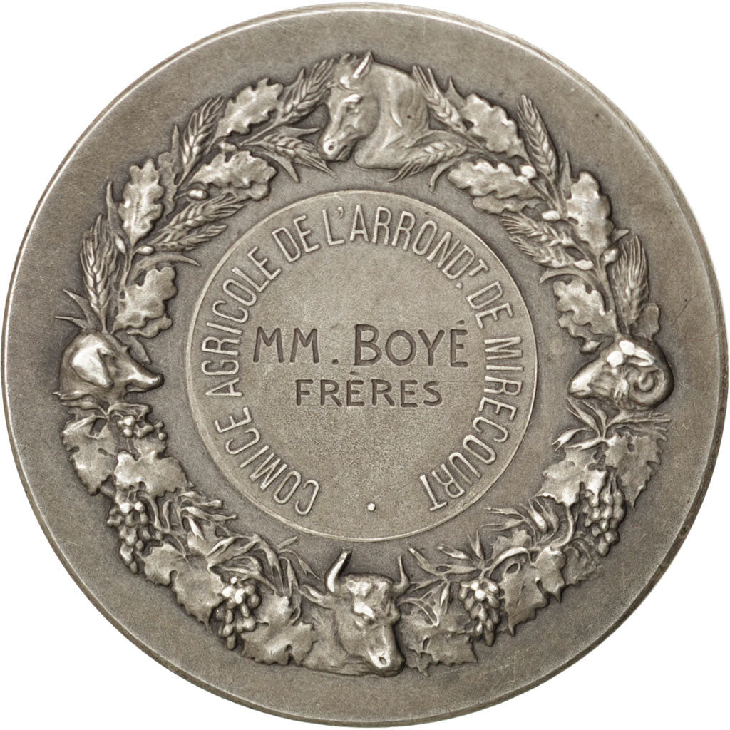 FRANCE, Business & industry, French Third Republic, Medal, AU(50-53), Dubois.H,.