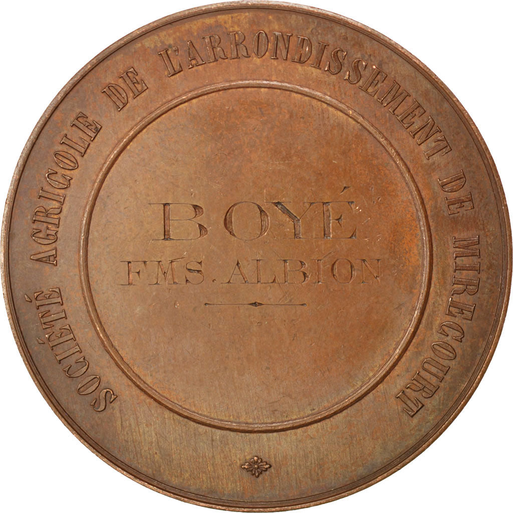 Frankrijk, Medal, French Third Republic, Business & industry, Bescher, PR, Koper