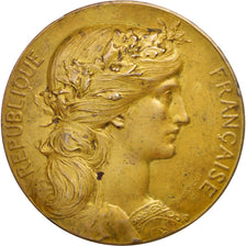 Francia, Medal, French Third Republic, Arts & Culture, Dupuis.D / Dubois.H, B...