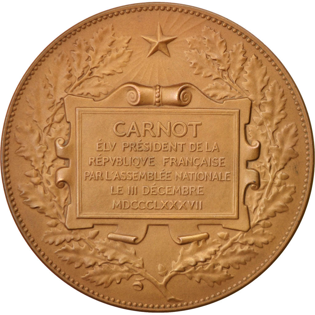 FRANCE, Politics, Society, War, French Third Republic, Medal, AU(55-58),...