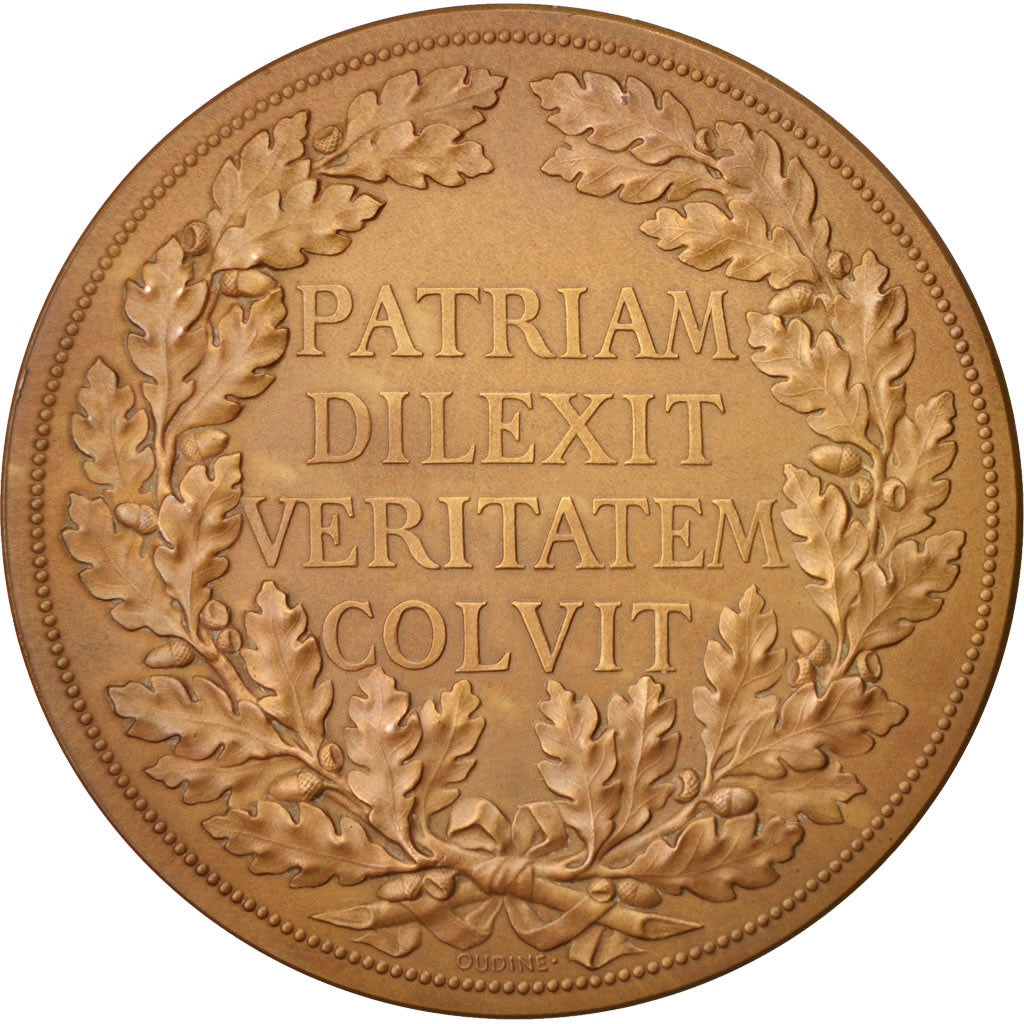 FRANCE, Politics, Society, War, French Third Republic, Medal, AU(55-58), Oudiné,
