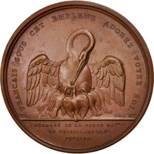 Frankrijk, Medal, End of Monarchy, History, 1790, Rousseau, PR+, Koper