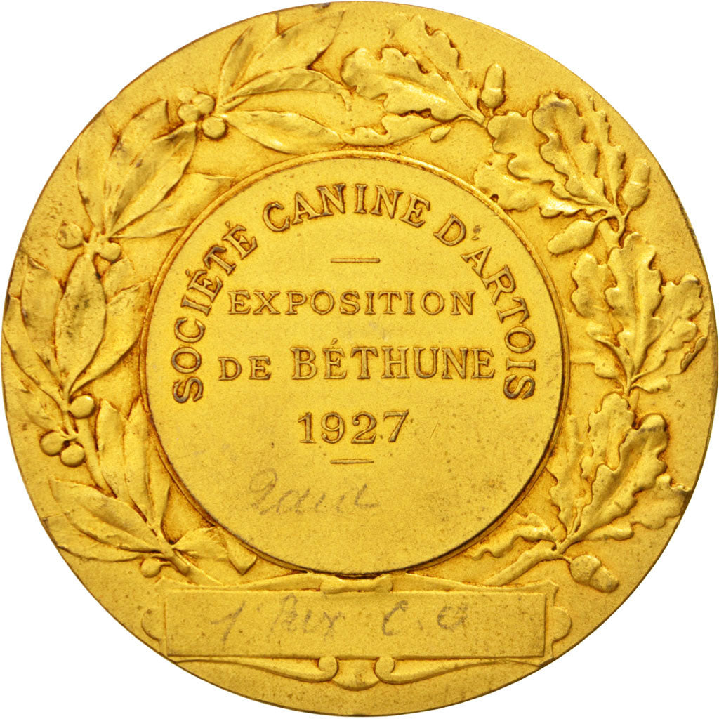 Frankrijk, Medal, French Third Republic, Sports & leisure, 1921, ZF+, Bronze
