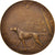 France, Medal, French Third Republic, Sports & leisure, TTB+, Bronze