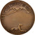 France, Medal, French Third Republic, Sports & leisure, TTB+, Bronze