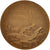 France, Medal, French Third Republic, Arts & Culture, Chaplain, TTB+, Bronze