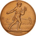 Conseil Générale du Nord, Médaille
