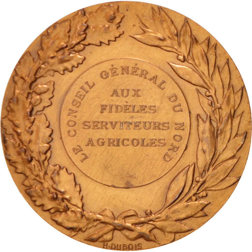 Conseil Générale du Nord, Médaille