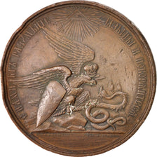 L'armée russe écrase la révolte de Hongrie et de Transylvanie de 1849, Médaille