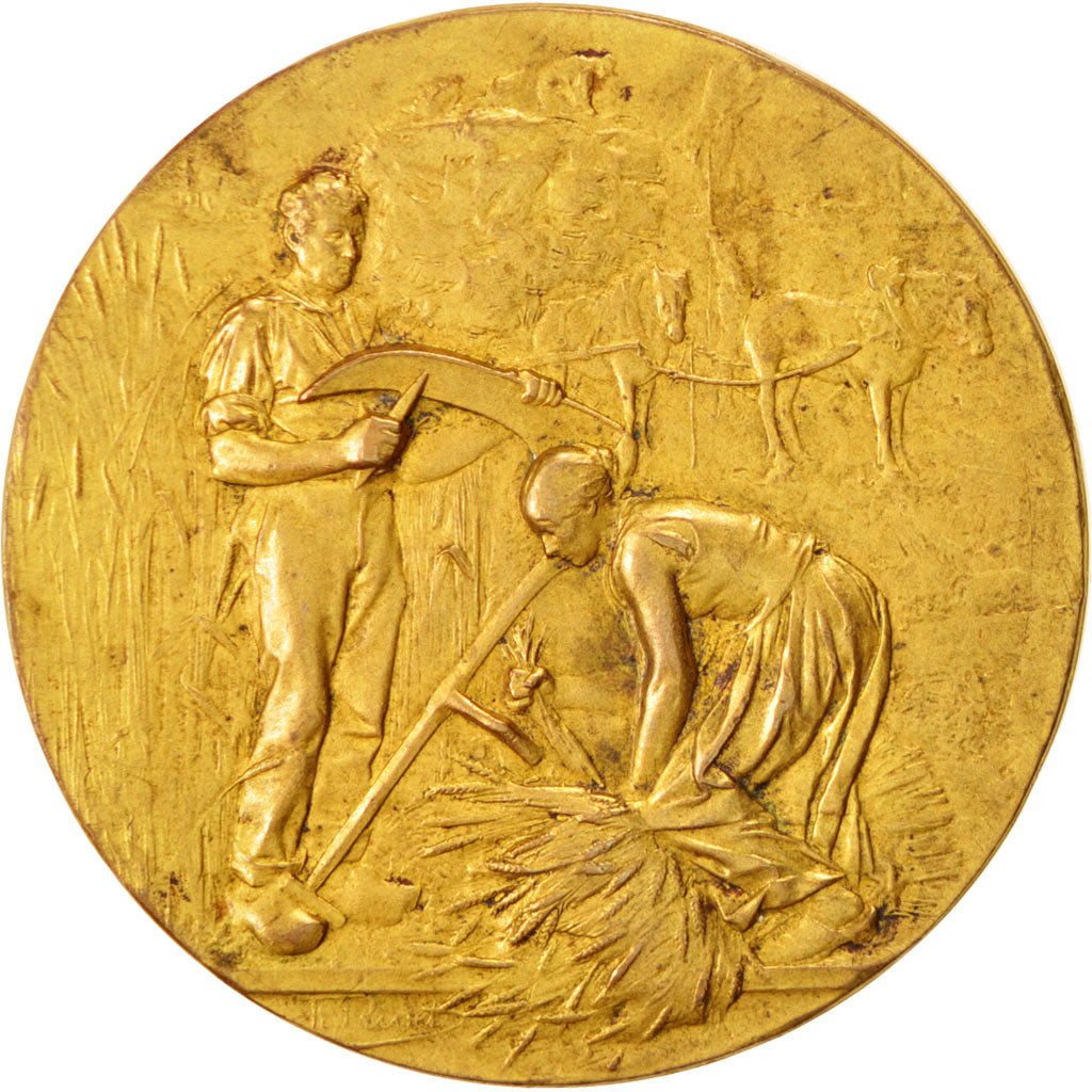 Francia, Medal, French Third Republic, Business & industry, Rivet, BB+, Bronzo