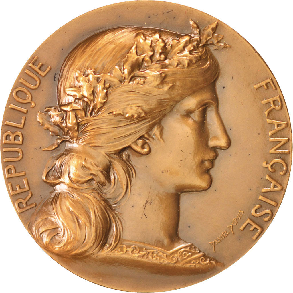 France, Medal, French Fifth Republic, Politics, Society, War, Dupuis.D