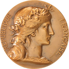 France, Medal, French Fifth Republic, Politics, Society, War, Dupuis.D