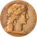France, Medal, French Fifth Republic, Politics, Society, War, Dupuis.D