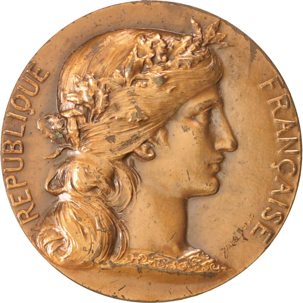 Frankrijk, Medal, French Fifth Republic, Politics, Society, War, Dupuis.D, ZF+