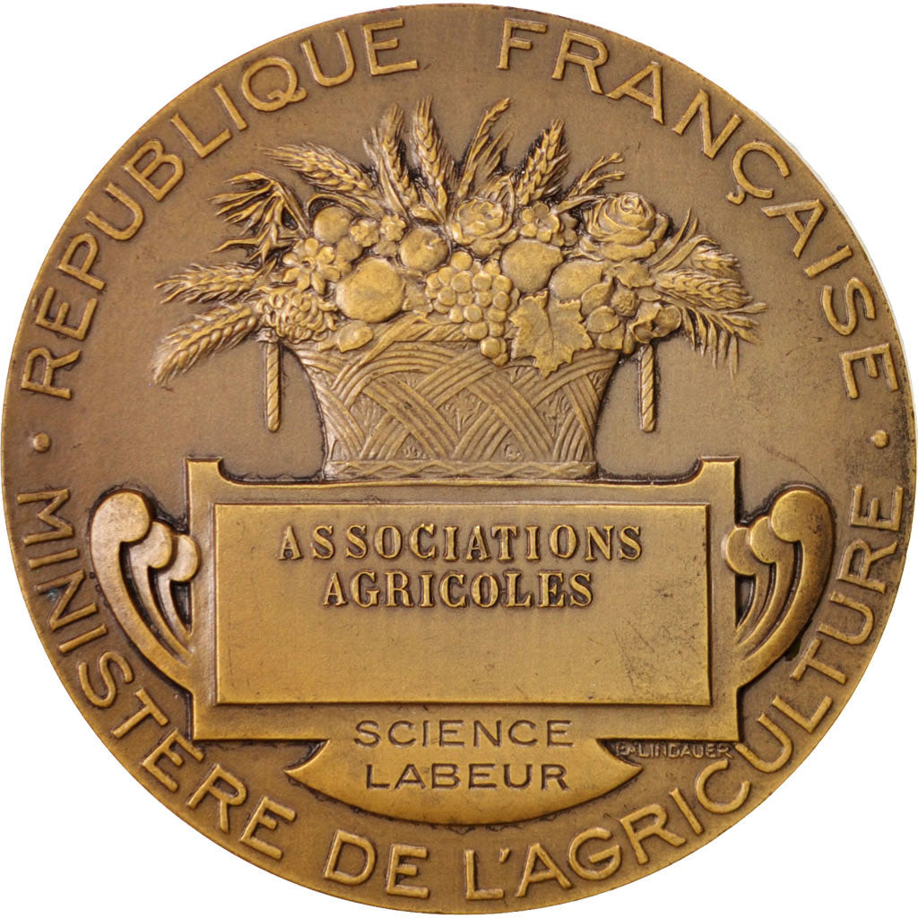 France, Medal, French Fifth Republic, Business & industry, Lagrange, SUP, Bronze