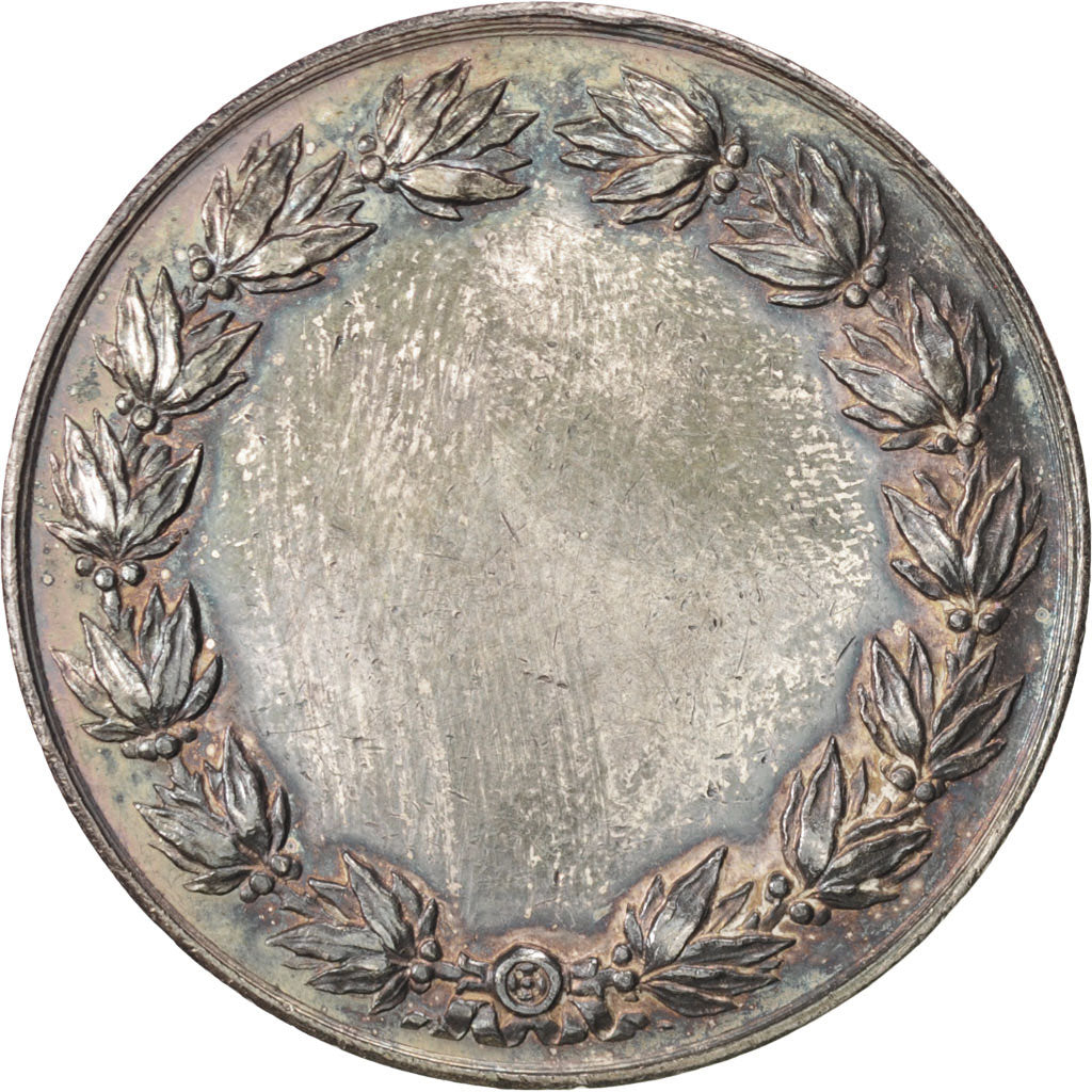 France, Medal, French Third Republic, Business & industry, Borrel, SUP, Argent