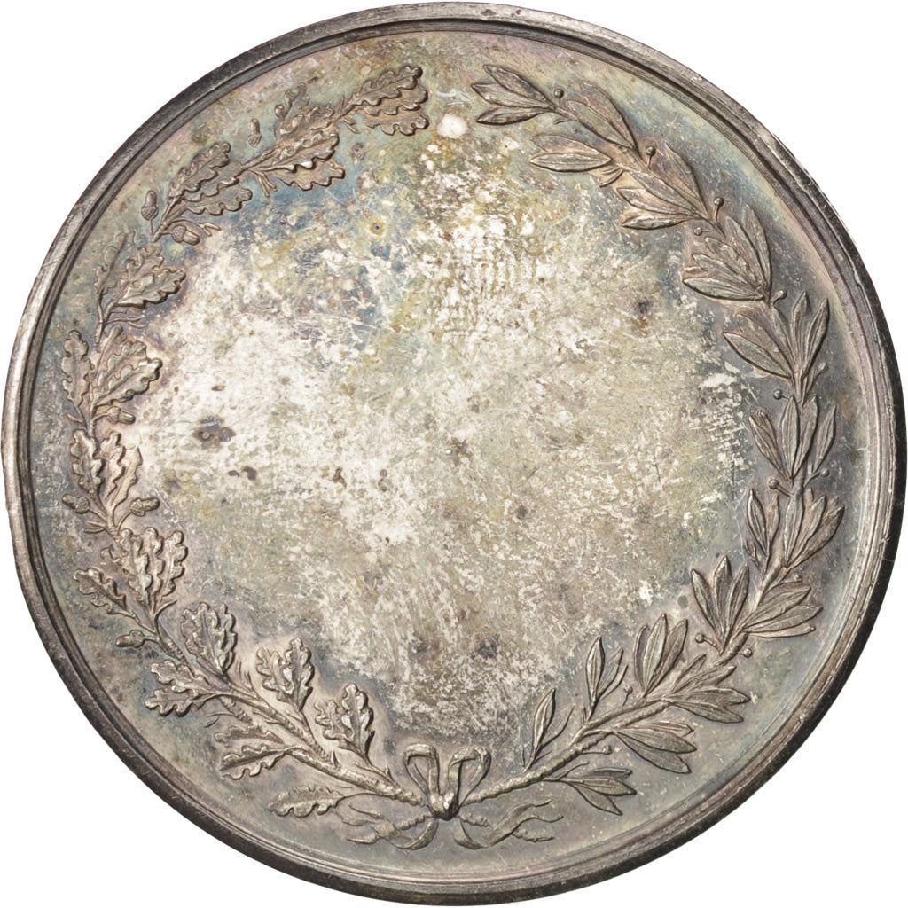 Francia, Medal, French Third Republic, Politics, Society, War, Esparon, SPL-