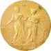 Francia, Medal, French Third Republic, Business & industry, Dubois.A, MBC, Oro